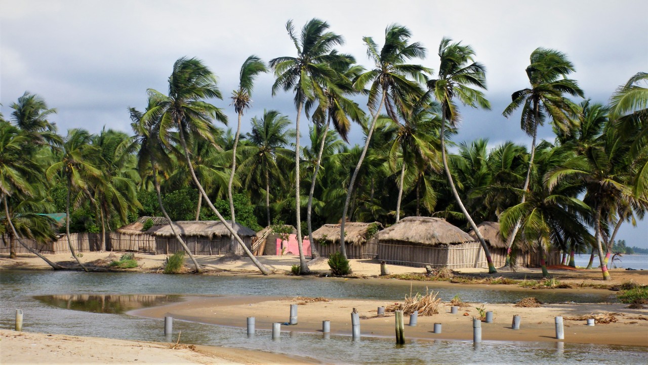 A stunning beach with huts and palm trees